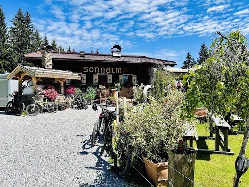 Bild von Sonn Alm Saalbach Hinterglemm