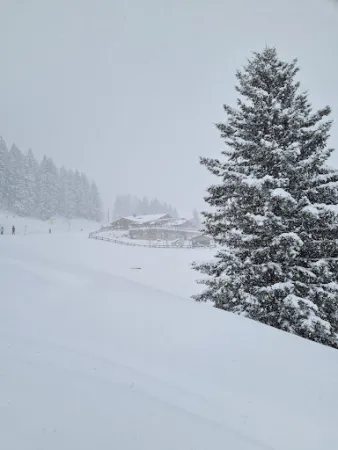 Bild von Rosswaldhütte