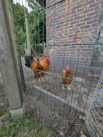 Bild von Scholjegerdes Hof