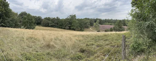 Bild von Landhotel Helms