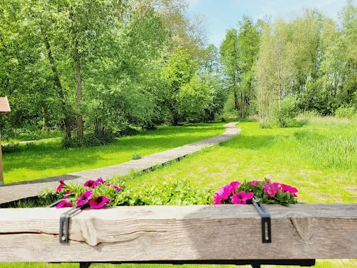 Bild von Moorgarten- Café, Gastro, Biergarten
