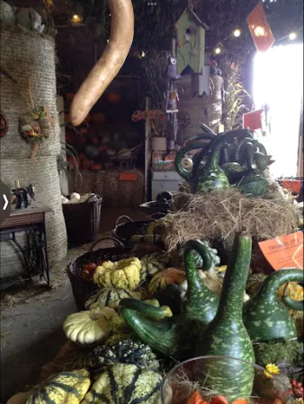 Bild von Hofladen & Café „Zum Bullenstall“