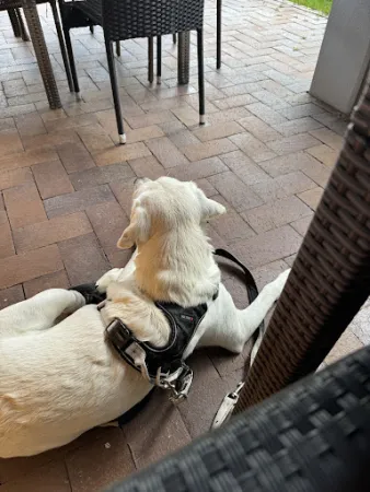 Bild von Pablo's Pub - Pub Gaishorn