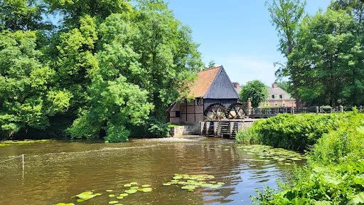 Bild von Malle Mühle