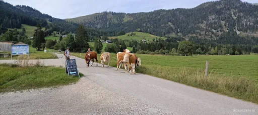 Bild von Zum Troadkastl