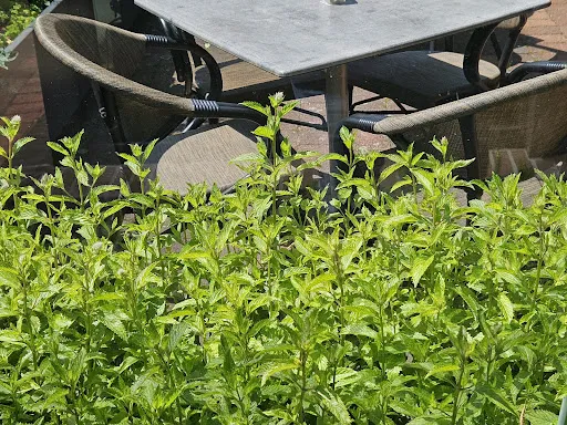 Bild von Bistro Cappuccino
