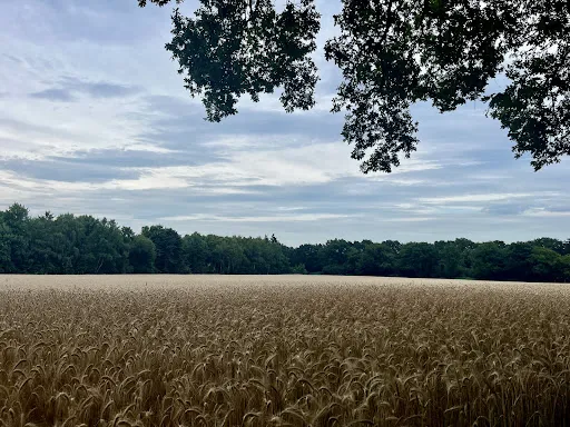 Bild von Nordenholzer Hof