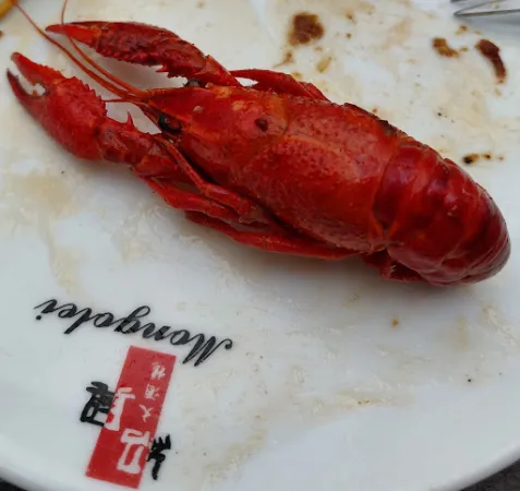 Bild von Asia Restaurant "Mongolei"