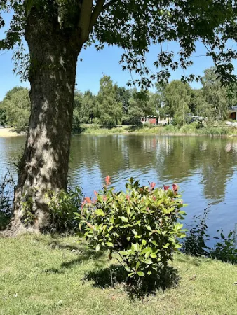 Bild von SeeHuus Restaurant am Falkensteinsee