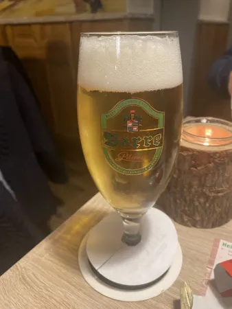 Bild von Die Knolle