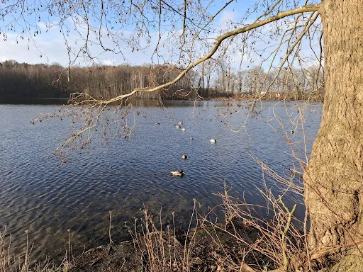 Bild von Café-Restaurant am Rubbenbruchsee
