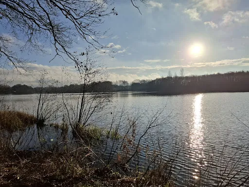 Bild von Café-Restaurant am Rubbenbruchsee