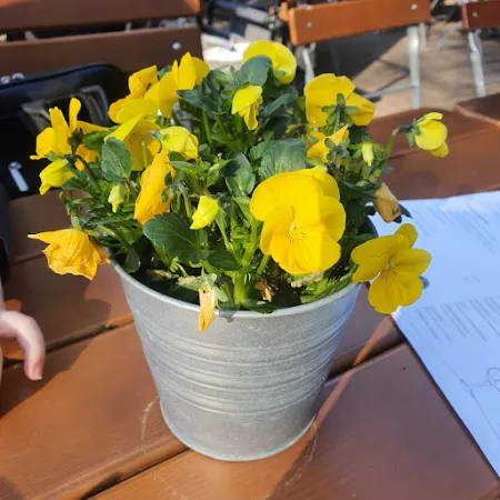 Bild von Café-Restaurant am Rubbenbruchsee