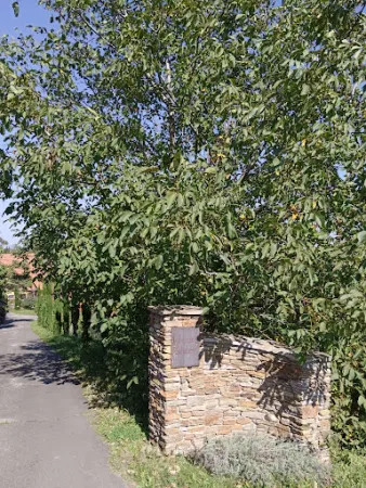 Bild von Buschenschank Weingartschlögl