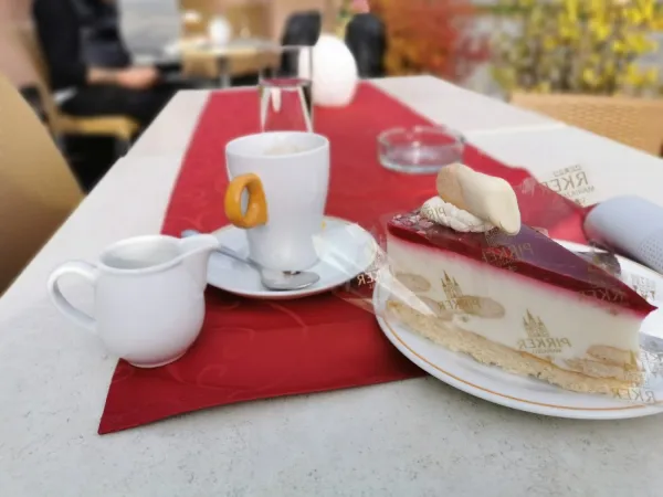 Goldener Löwe Mariazell