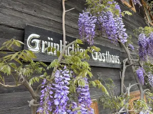 Gasthaus Grünbichler