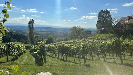 Weingut und Buschenschank Palz (vulgo Serbeth) Klöch