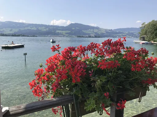 Bild von Strandbad Feldbach