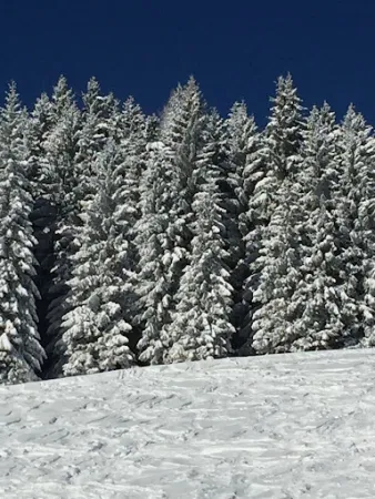 Bild von Gasthaus und Schilifte Feistritzsattel
