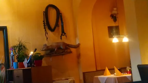Bild von Schaumburger Hof