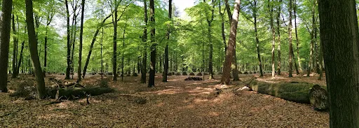 Bild von Engelmannsbäke Landgasthof