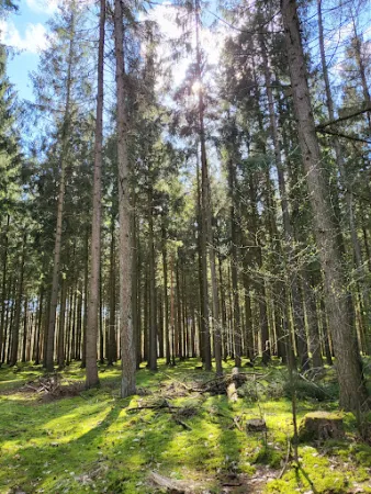 Bild von Engelmannsbäke Landgasthof