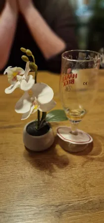 Bild von Antokya