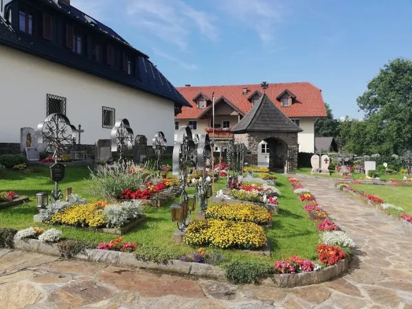 Bild von undefined