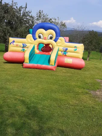 Bild von undefined