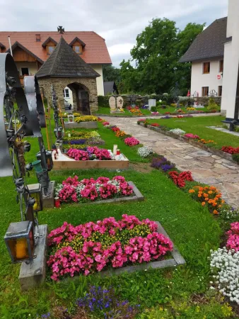 Bild von undefined
