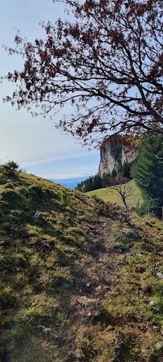 Tyrnauer Alm