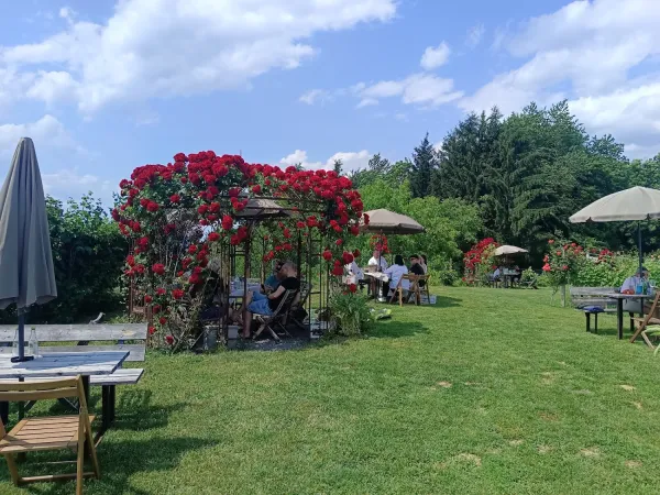 Bild von undefined