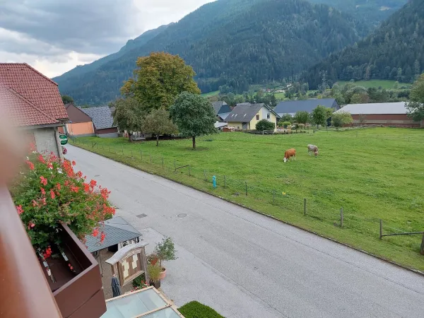 Bild von undefined