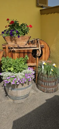 Bild von EHR - Erlebnishof Reczek