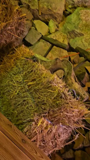Valek's Platzhirsch (ehemals Ferdl`s Gasthof)