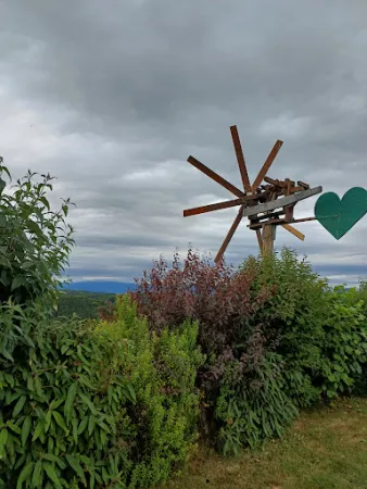 Bild von Weingut Buschenschank Tinnauer