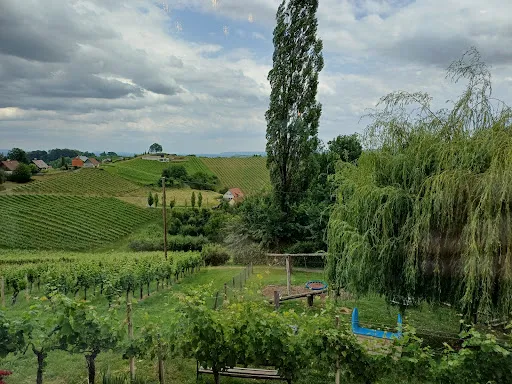 Bild von Weingut Buschenschank Tinnauer