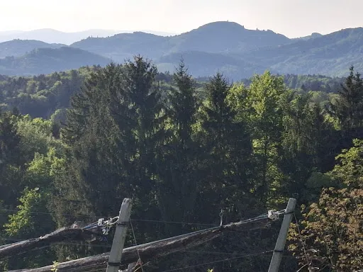 Bild von Weingut Buschenschank Tinnauer