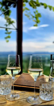 Bild von Mahorko Wein/Wellness/Wasserbüffel