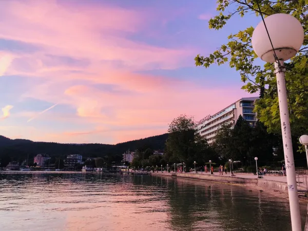 Bild von Petra