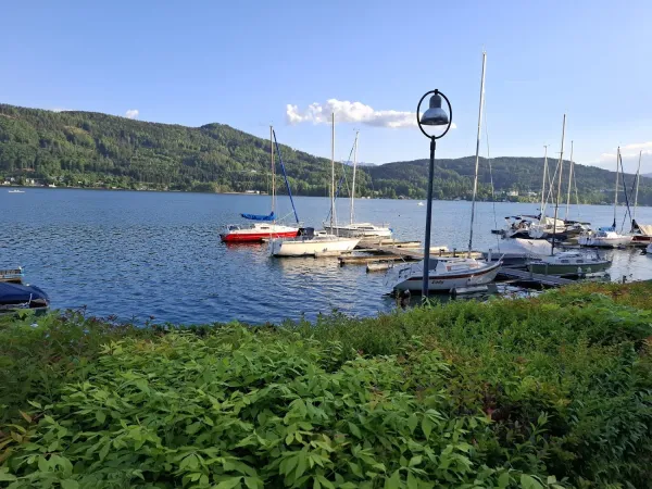 Bild von undefined