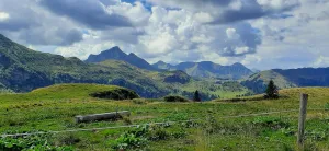 Waidegger Alm