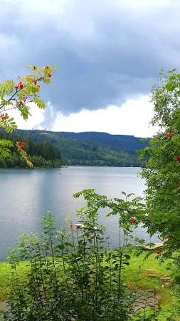 Bild von undefined