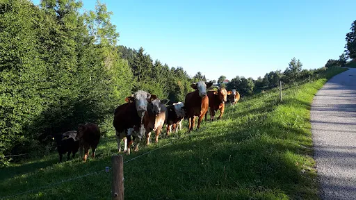 Bild von Buschenschank Lippitz vlg. Oberländer