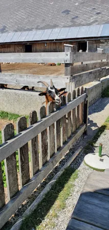Bild von Tröpolach Alm