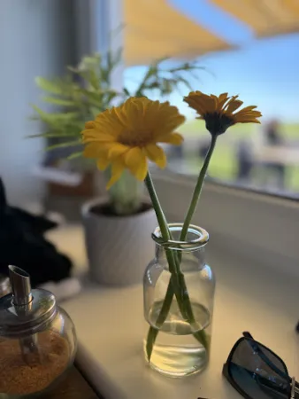 Bild von MEERSATT - Café & Bar