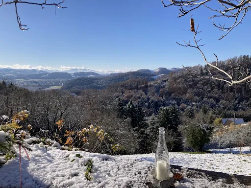 Bild von Winzerhaus Kogelberg