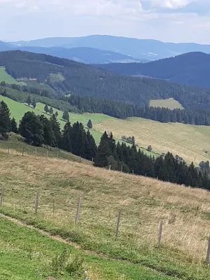 Almwirtshaus HOLDAHÜTT`N