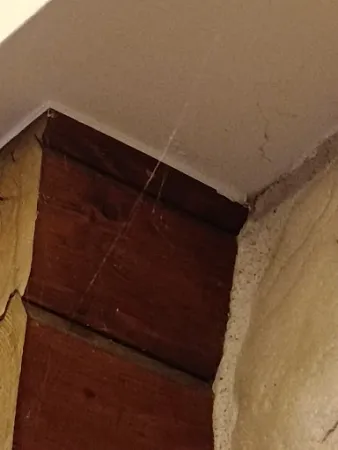 Bild von Knusperhäuschen