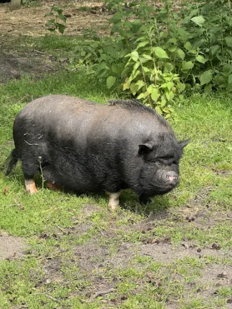 Bild von Hof Iggewarden